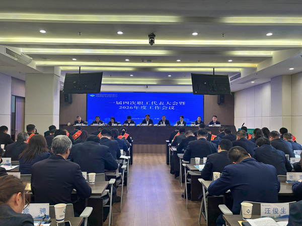省城市更新集团等三家公司召开一届四次职工代表大会暨2026年度工作会议