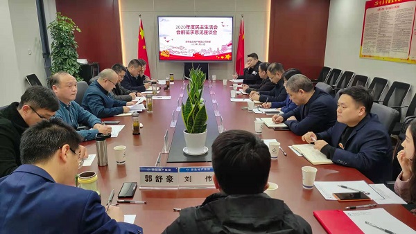 安徽盐业地产集团公司党委召开2020年度民主生活会前征求意见座谈会