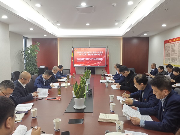 安徽盐业地产集团公司开展新一轮深化“三个以案”警示教育集中学习
