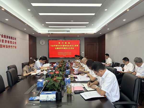 安徽盐业地产集团等三家公司党委召开学习贯彻习近平新时代中国特色社会主义思想主题教育专题民主生活会