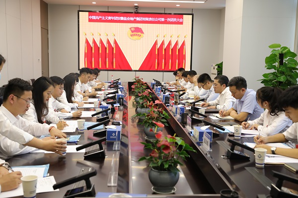 青春向党传薪火 踔厉奋发新时代——安徽盐业地产集团团支部成立大会暨团员大会胜利召开